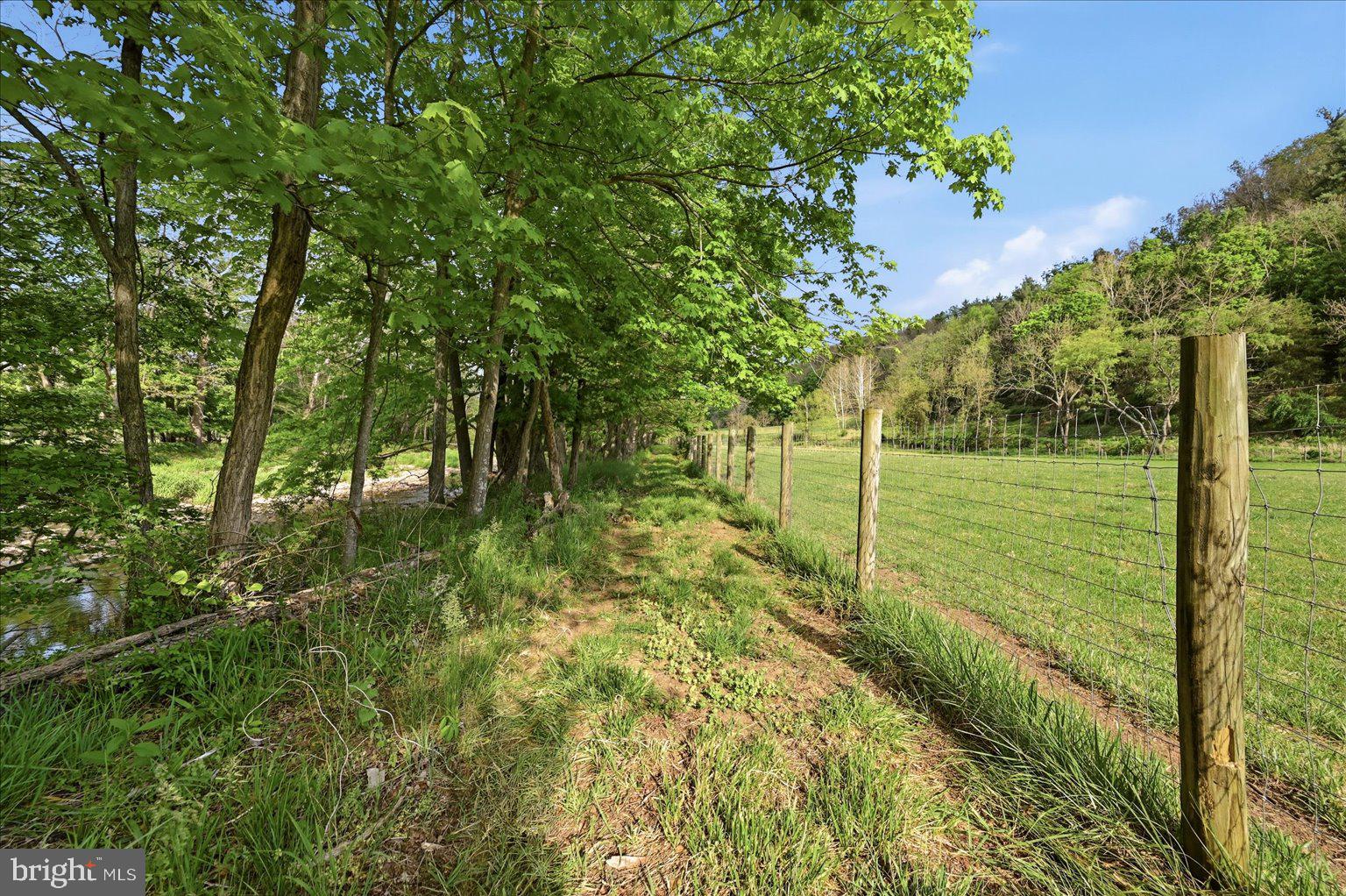 15095 Little Dry River Road Fulks Run, VA 22830 - Photo 117 of 144