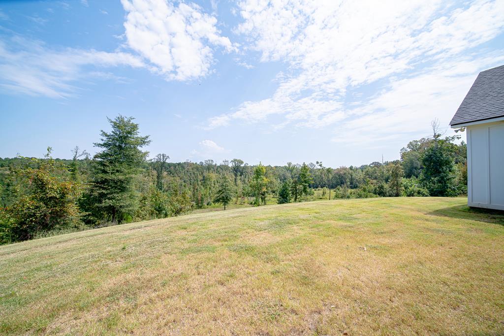 199 Battle Road Hurtsboro, AL 36860 - Photo 39 of 52 Back Yard