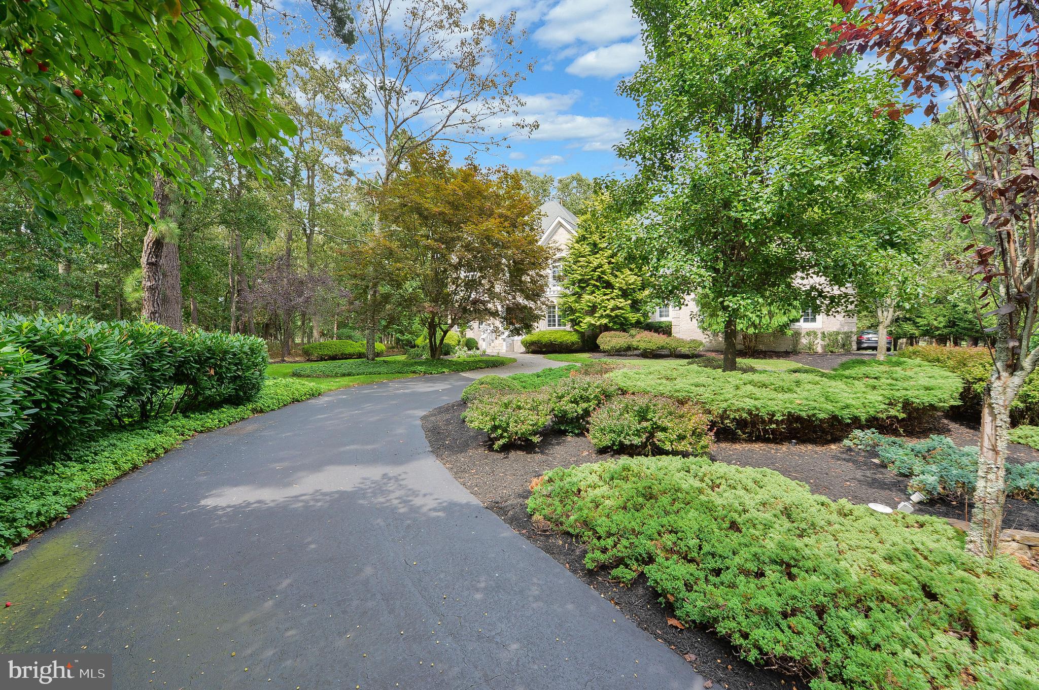 50 Bortons Road Medford, NJ 08055 - Photo 2 of 46