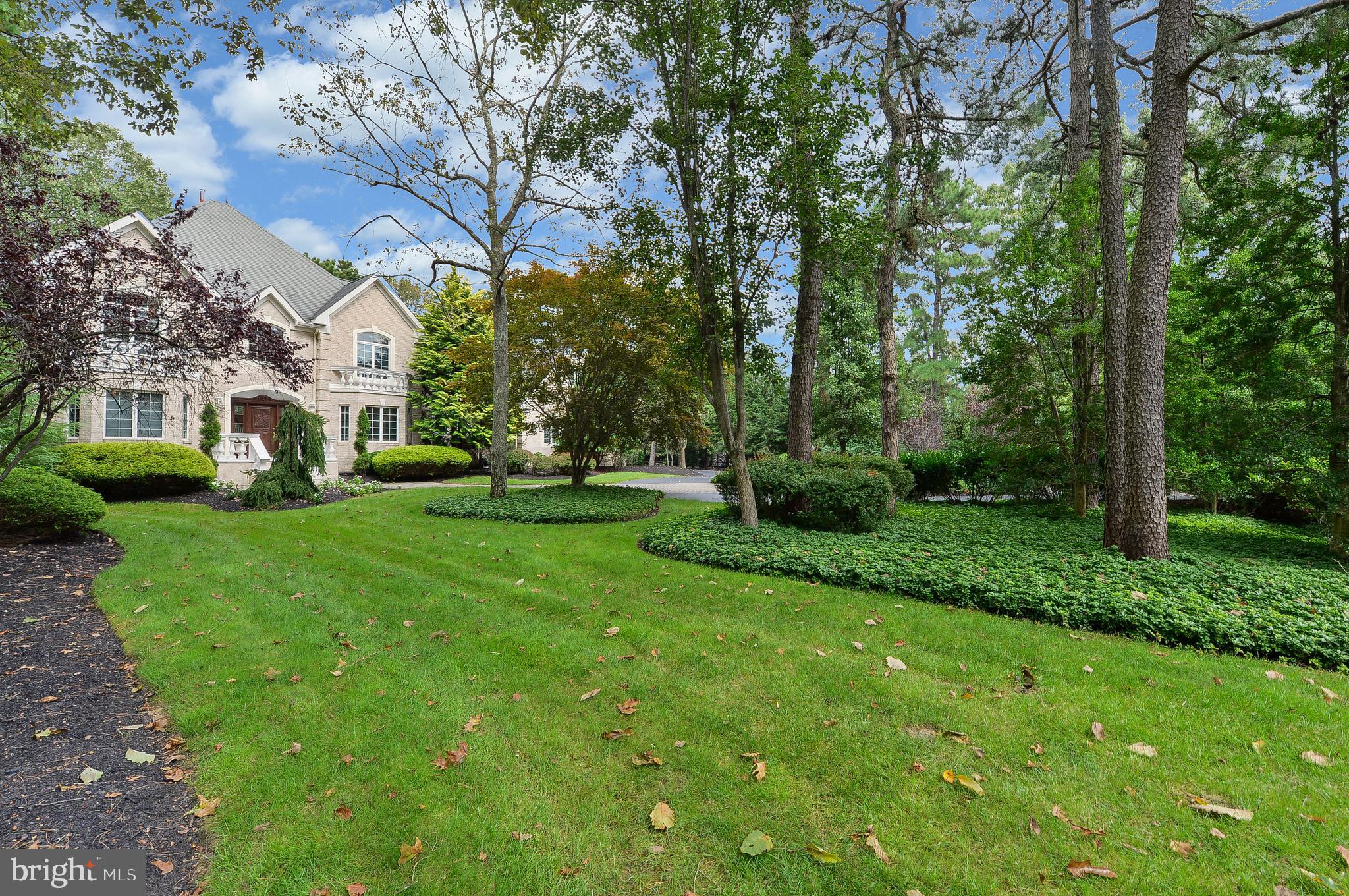 50 Bortons Road Medford, NJ 08055 - Photo 3 of 46