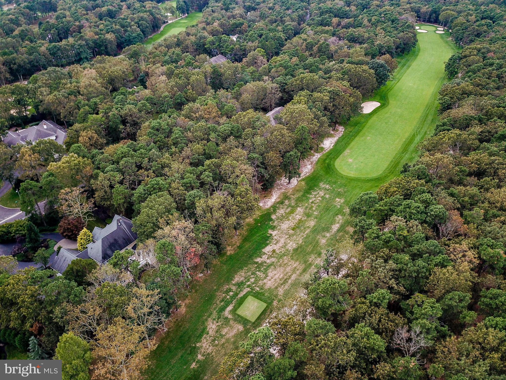 50 Bortons Road Medford, NJ 08055 - Photo 6 of 46