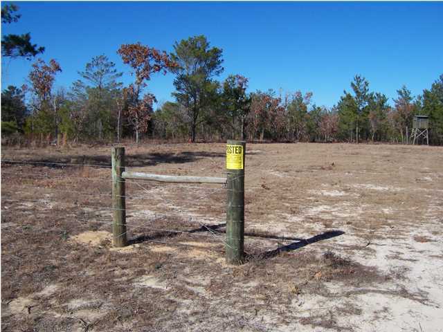 N/a Shaston Road DeFuniak Springs, FL 32433 - Photo 1 of 4 Primary Photo