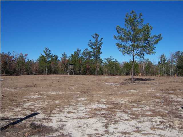 N/a Shaston Road DeFuniak Springs, FL 32433 - Photo 2 of 4 Additional Photo