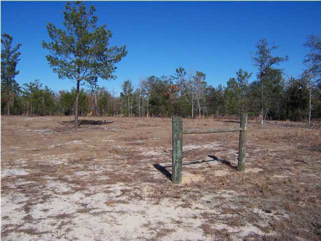 N/a Shaston Road DeFuniak Springs, FL 32433 - Photo 3 of 4 Additional Photo