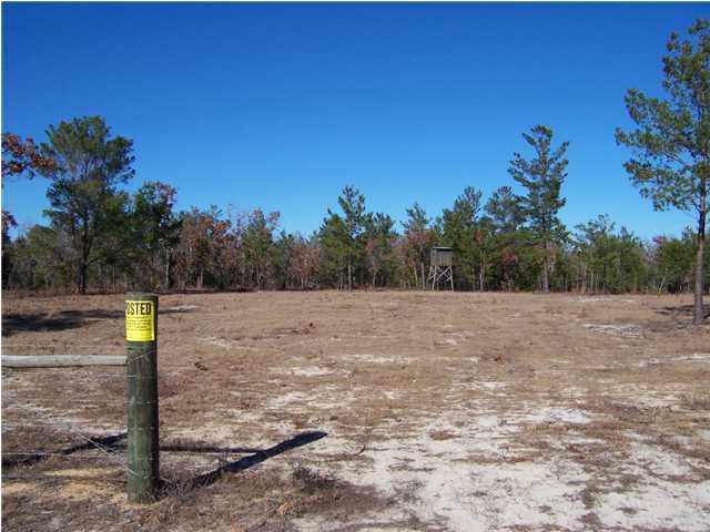 N/a Shaston Road DeFuniak Springs, FL 32433 - Photo 4 of 4 Additional Photo