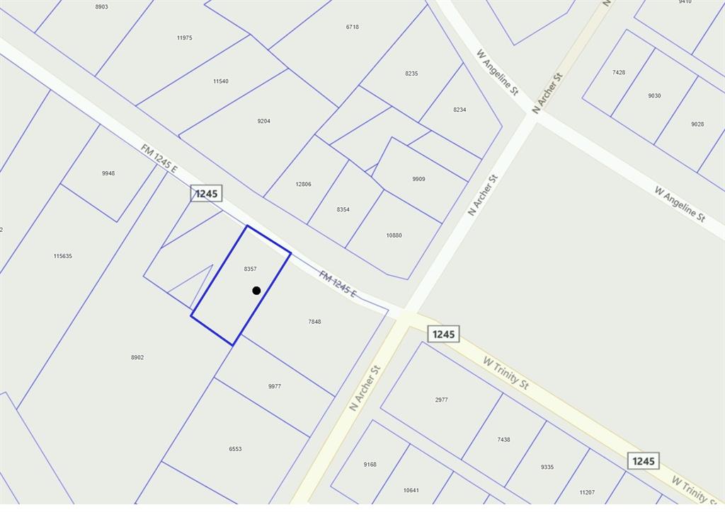 Tbd West Trinity Street Groesbeck, TX 76642 - Photo 5 of 5