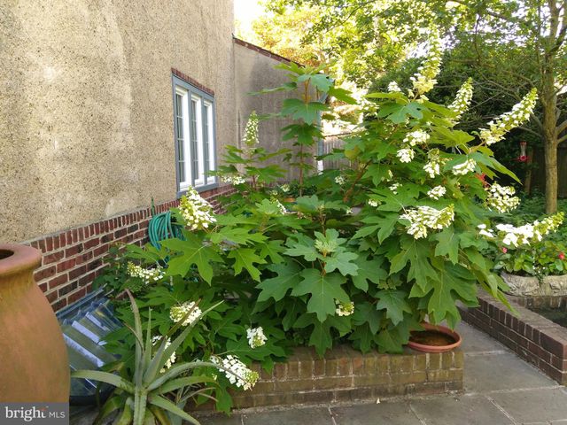 $655,000 | 8008 Winston Road, Philadelphia, PA 19118