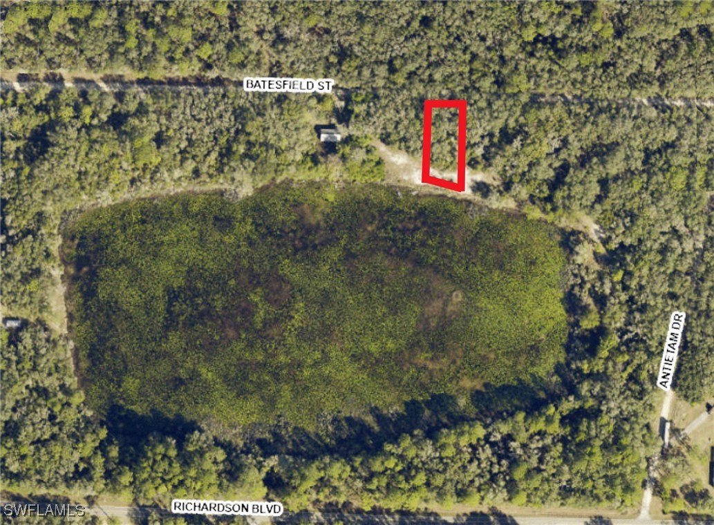 35084 Batesfield Street Webster, FL 33597 - Photo 4 of 9 a view of outdoor space and yard