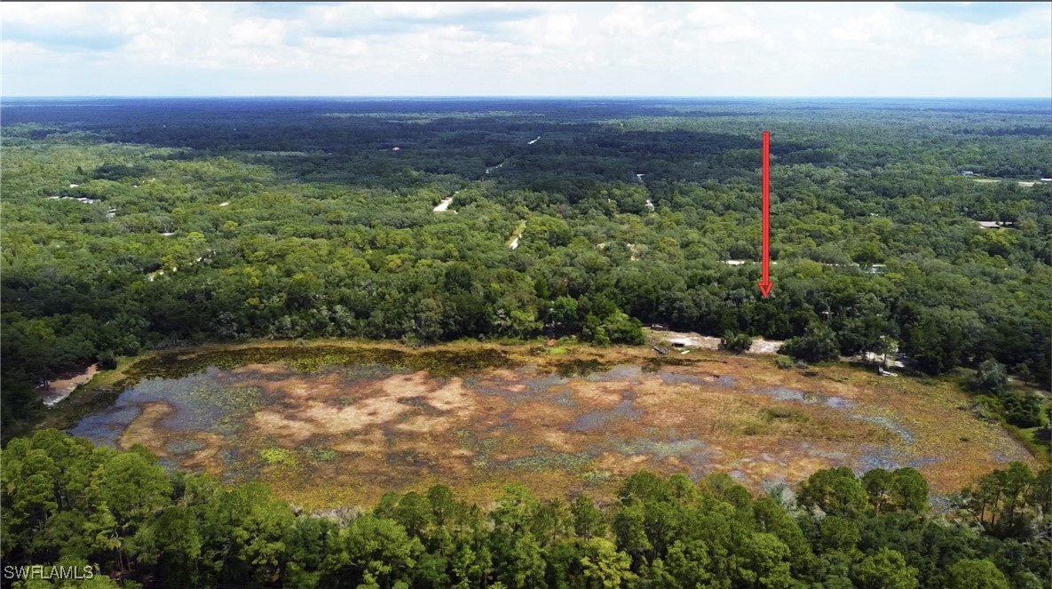 35084 Batesfield Street Webster, FL 33597 - Photo 5 of 9 a view of a back yard