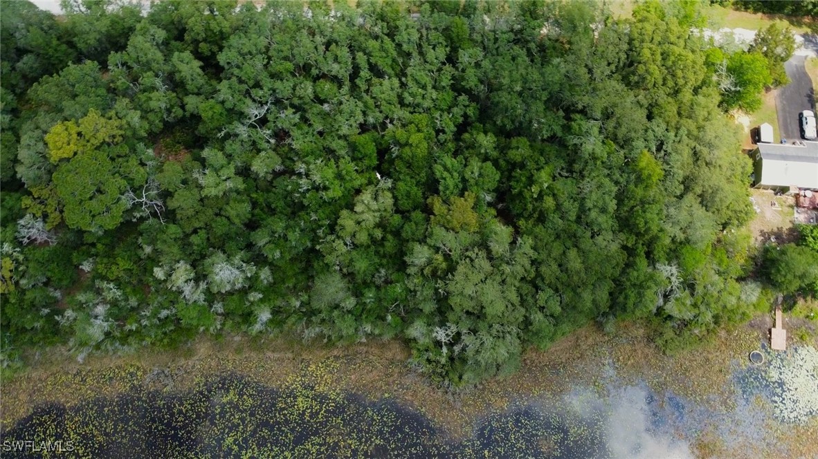 35084 Batesfield Street Webster, FL 33597 - Photo 6 of 9 a view of a yard with a tree