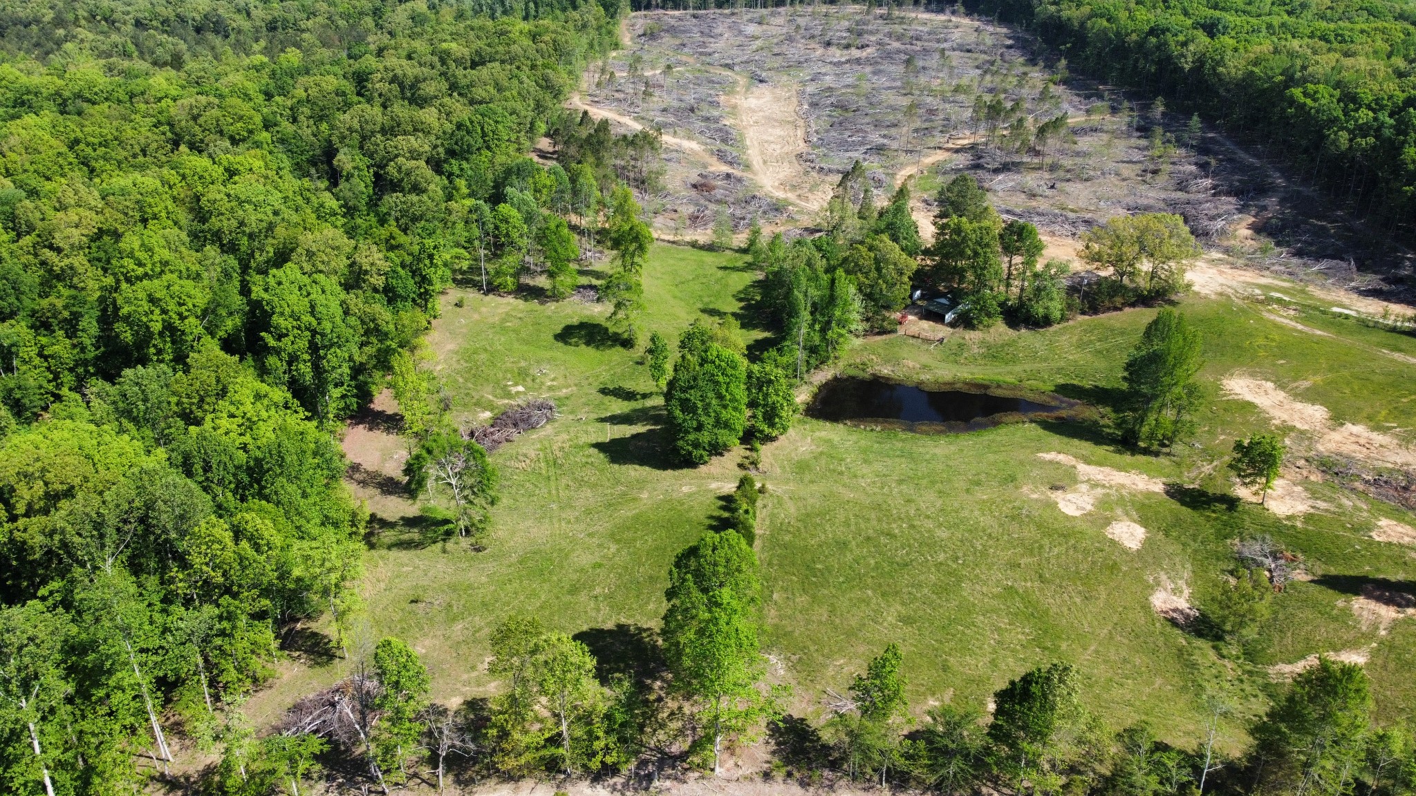 1185 Blackburn Road McKenzie, TN 38201 - Photo 16 of 33 a view of a garden