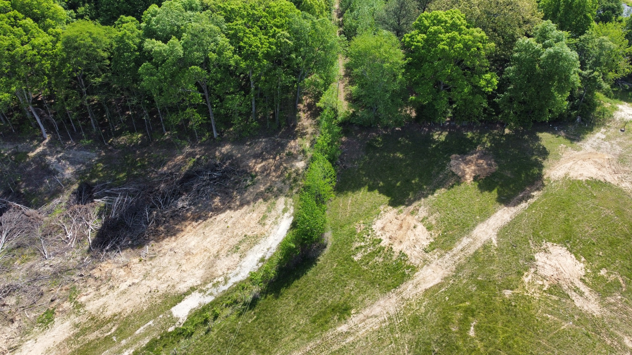 1185 Blackburn Road McKenzie, TN 38201 - Photo 22 of 33 a view of a yard with plants