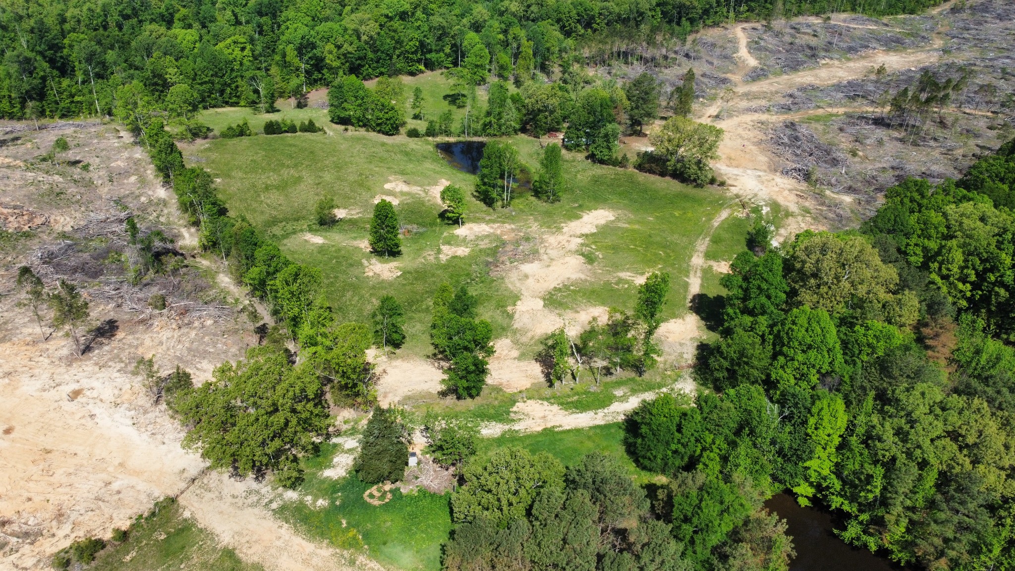 1185 Blackburn Road McKenzie, TN 38201 - Photo 26 of 33 a view of a yard with plants and large trees