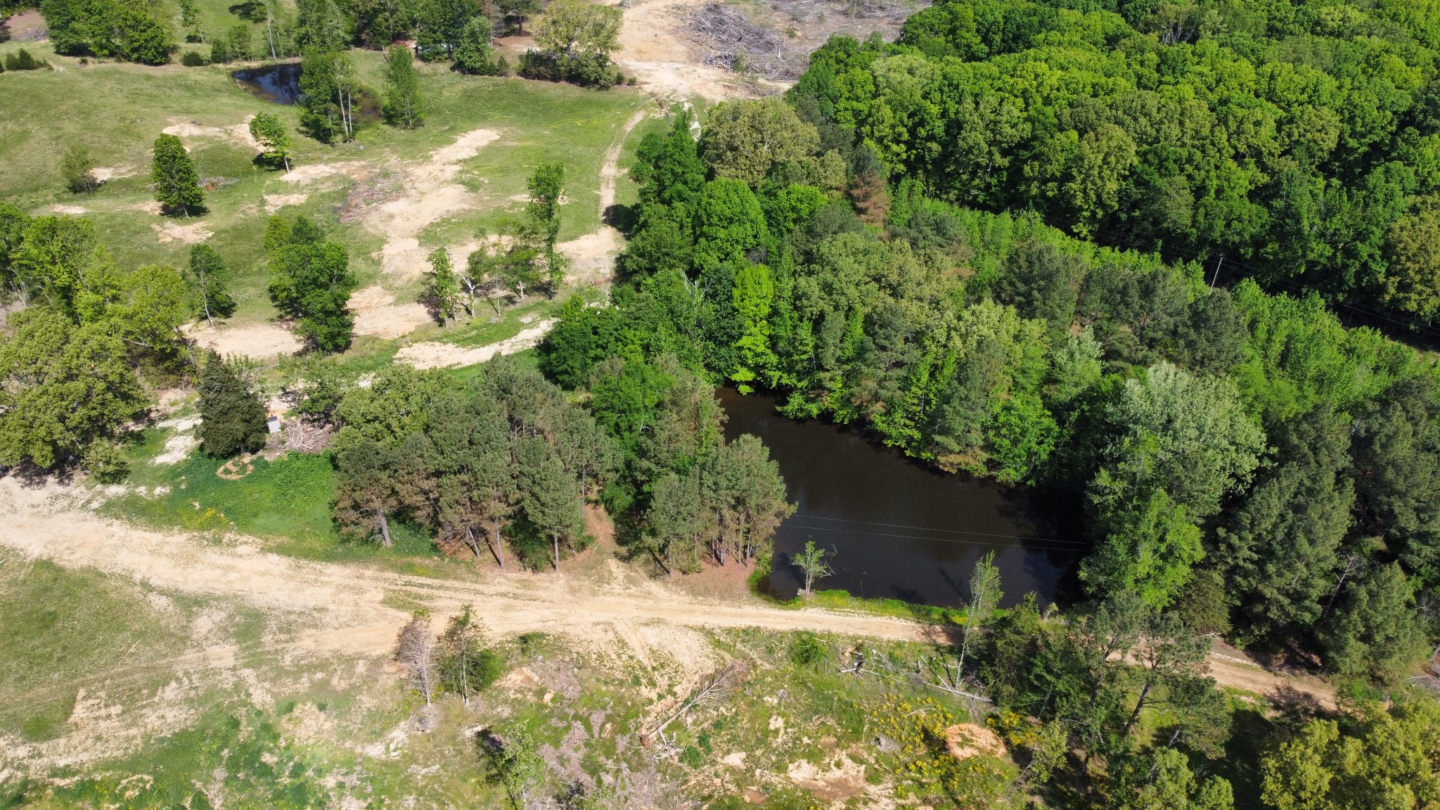 1185 Blackburn Road McKenzie, TN 38201 - Photo 28 of 33 a view of a yard with plants and large trees