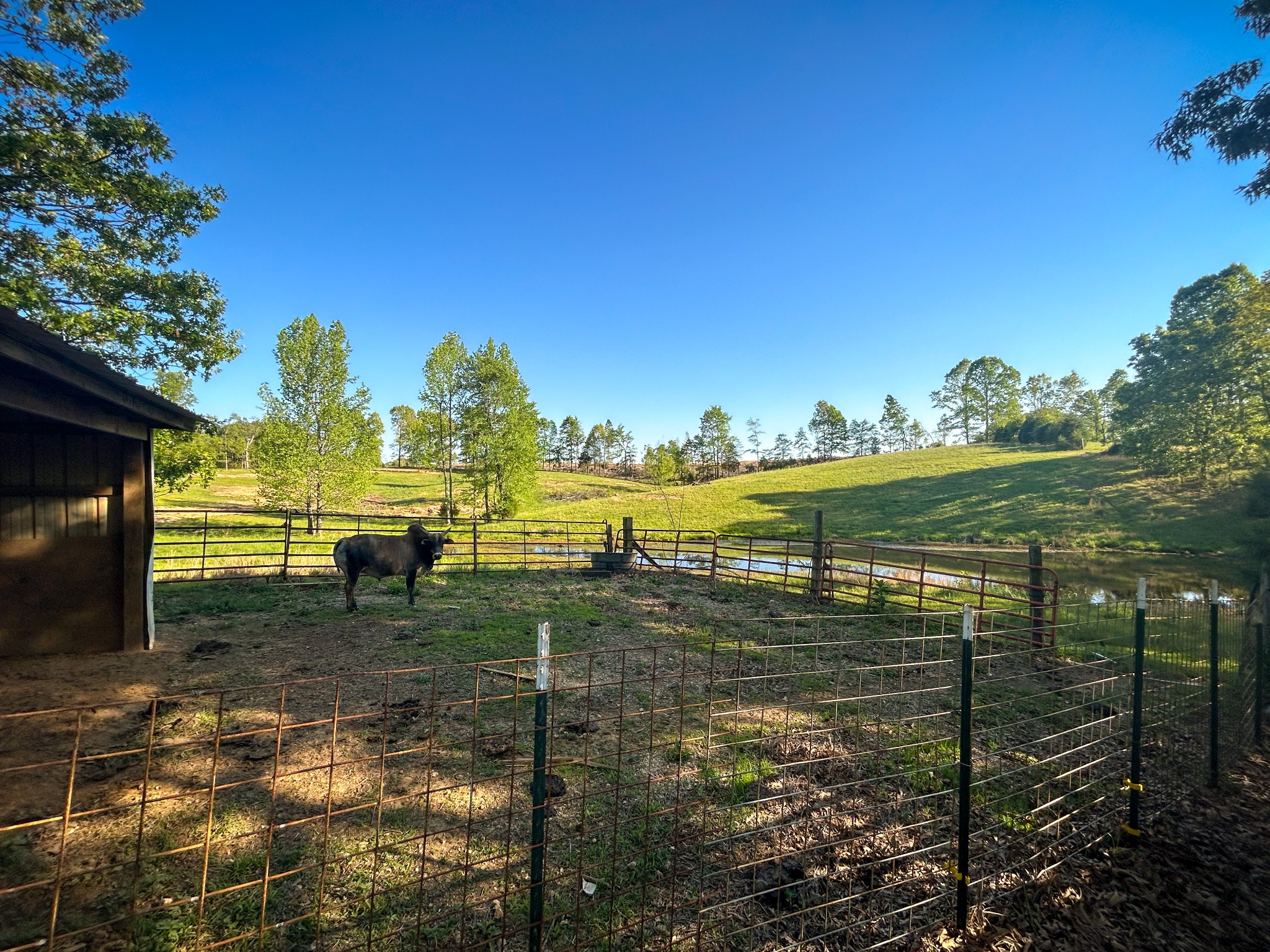 1185 Blackburn Road McKenzie, TN 38201 - Photo 3 of 33