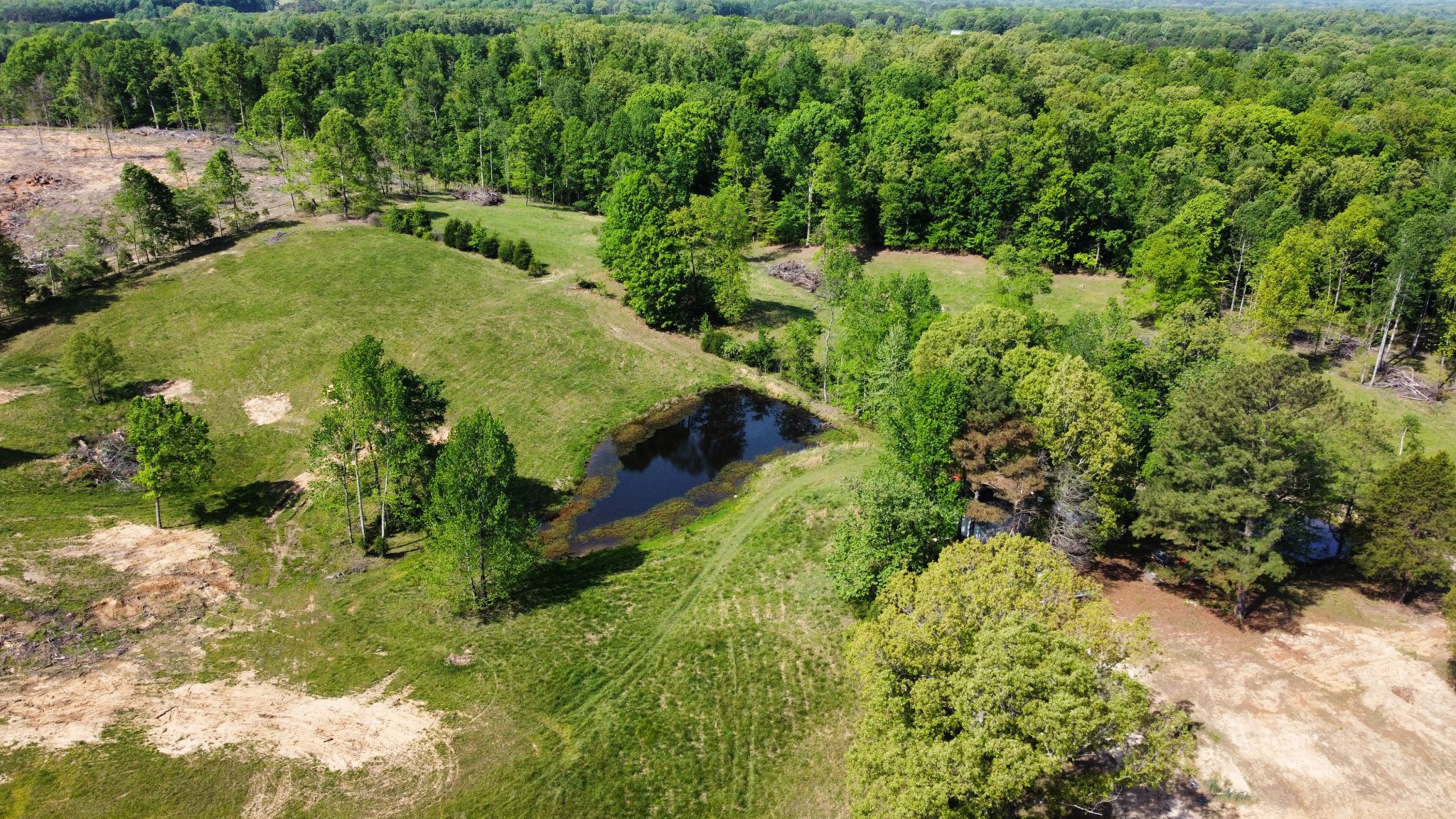 1185 Blackburn Road McKenzie, TN 38201 - Photo 8 of 33 a view of a garden with large trees