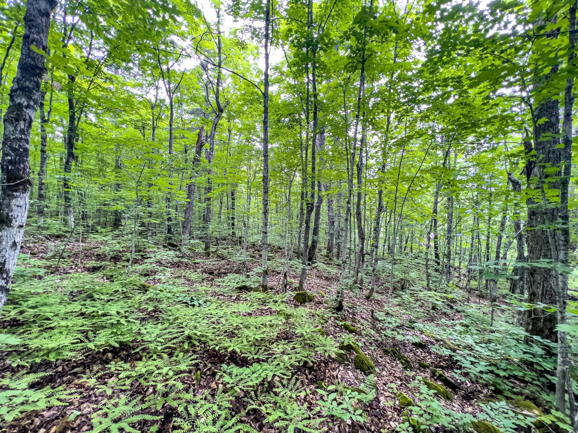 4 Rd Ontonagon Mi 49953 Road Wakefield, MI 49968 - Photo 12 of 15 Gallery Image 12