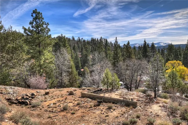 a view of a backyard of the house