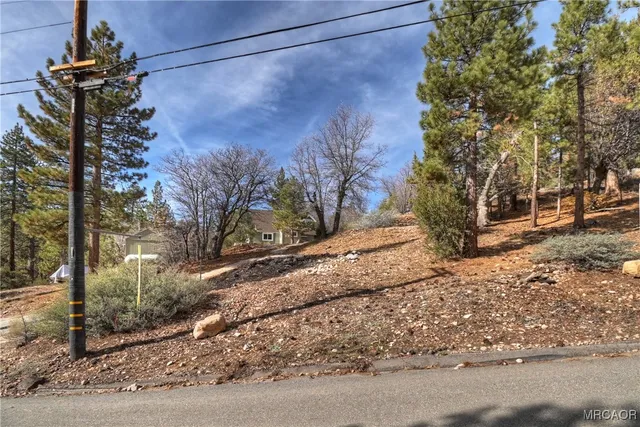 a view of outdoor space with trees