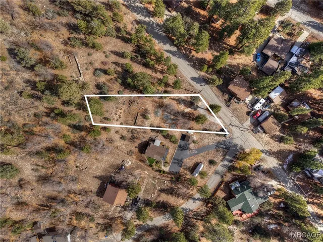 a view of a forest with a forest