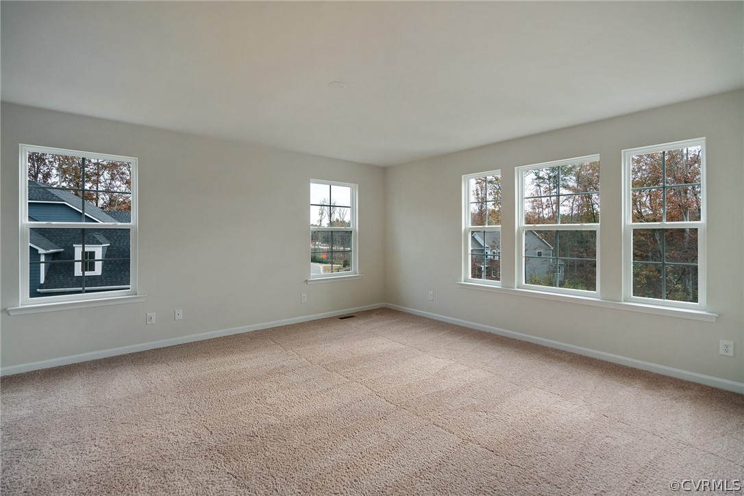 1336 Braisden Road Midlothian, VA 23114 - Photo 27 of 27