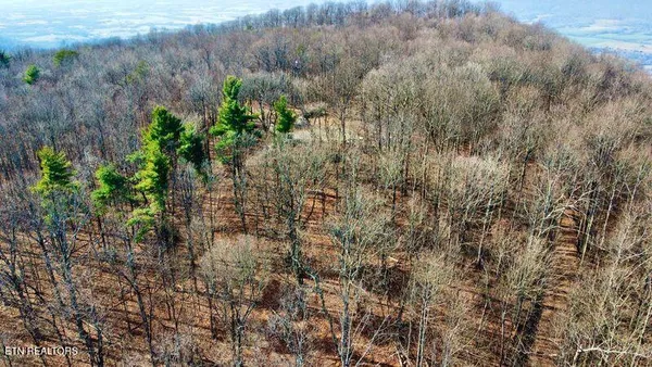 $379,000 | 654 Briley Road, Spring City, TN 37381