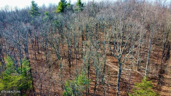 $379,000 | 654 Briley Road, Spring City, TN 37381