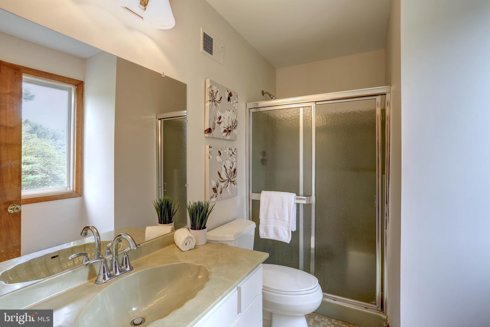 8453 Rolling Ridge Court Ellicott City, MD 21043 - Photo 16 of 39 Primary Bdrm full bath