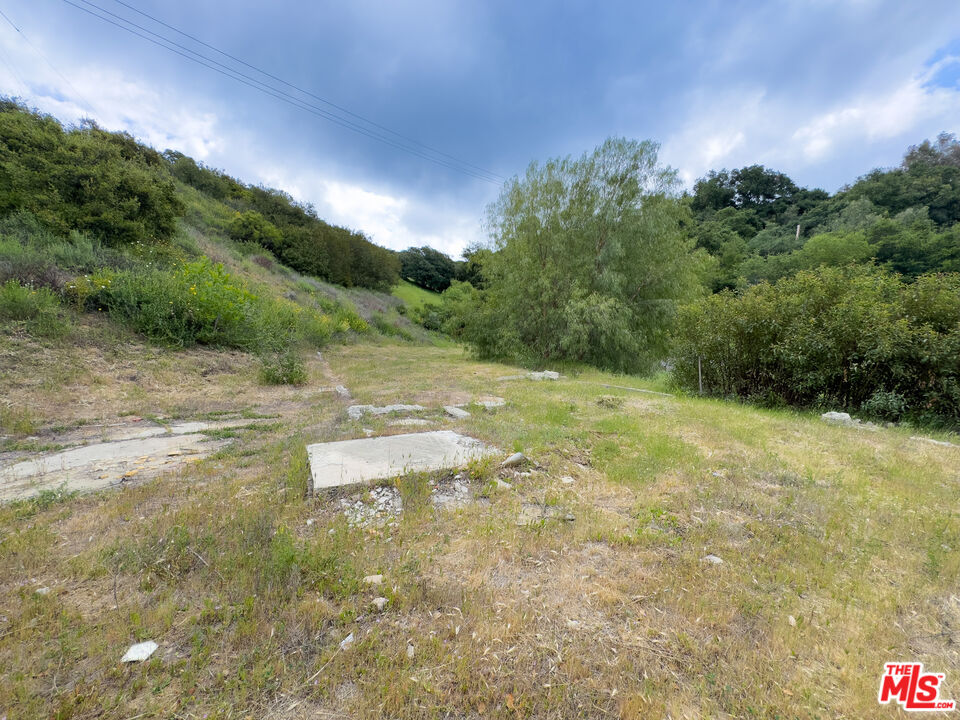 3330 Old Topanga Canyon Road Topanga, CA 90290 - Photo 13 of 18 a view of a field with trees in the background
