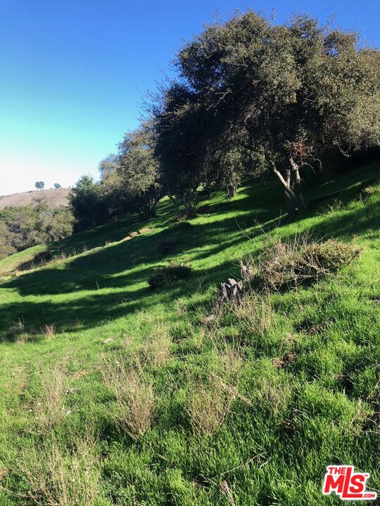 3330 Old Topanga Canyon Road Topanga, CA 90290 - Photo 4 of 18 a view of a golf course with a lake