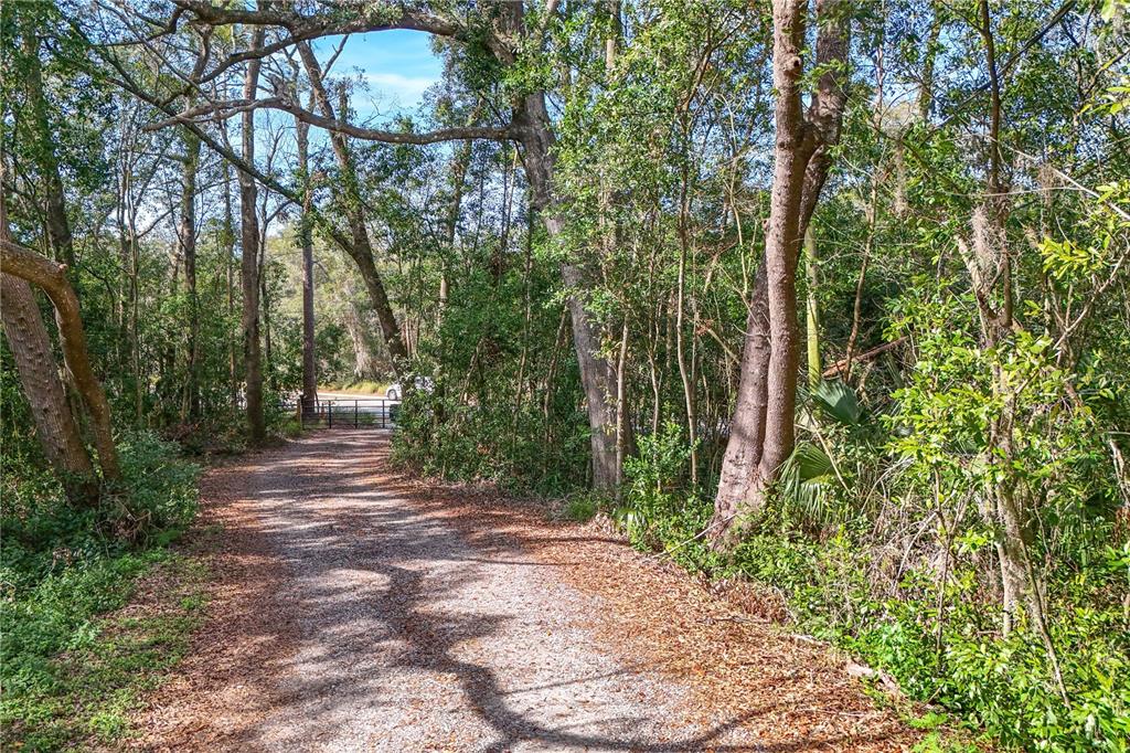 344 West Ponkan Road Apopka, FL 32712 - Photo 12 of 19