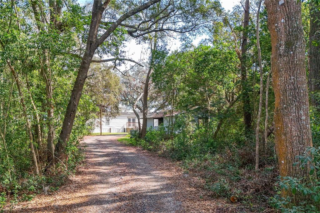 344 West Ponkan Road Apopka, FL 32712 - Photo 13 of 19