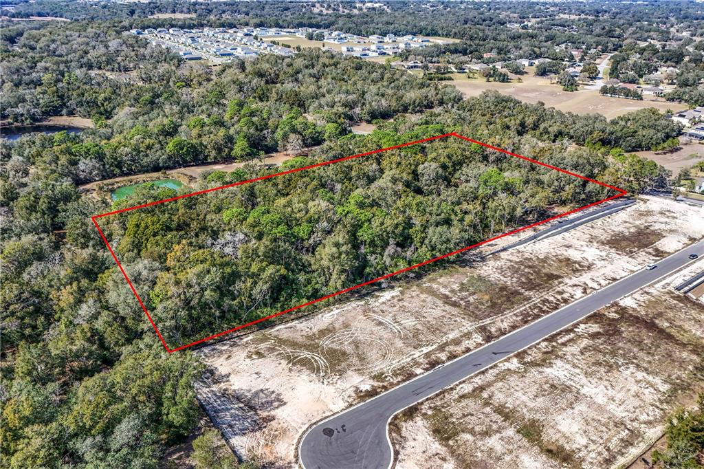 344 West Ponkan Road Apopka, FL 32712 - Photo 2 of 19