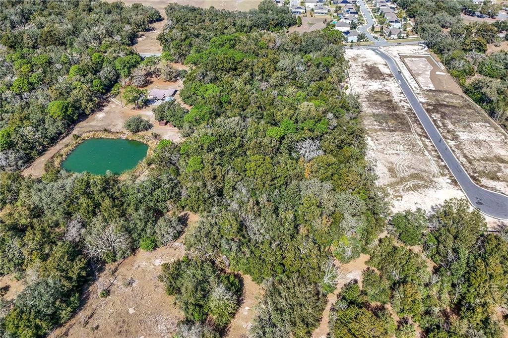 344 West Ponkan Road Apopka, FL 32712 - Photo 5 of 19