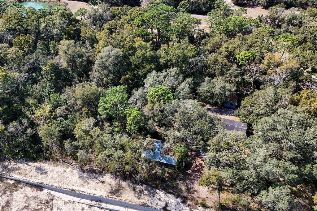 344 West Ponkan Road Apopka, FL 32712 - Photo 7 of 19