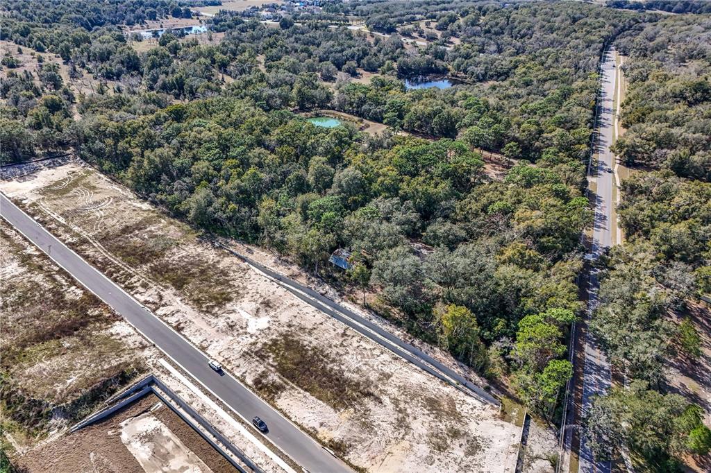 344 West Ponkan Road Apopka, FL 32712 - Photo 9 of 19