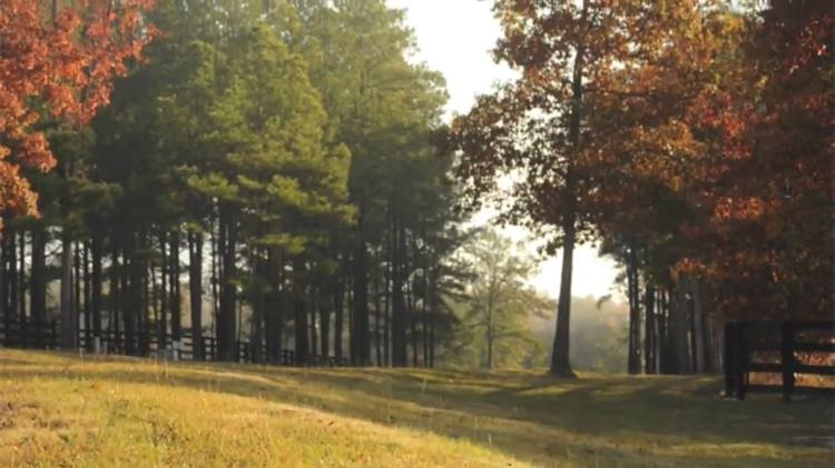 Lot 5 Rocking Horse Lane Aiken, SC 29801 - Photo 7 of 12