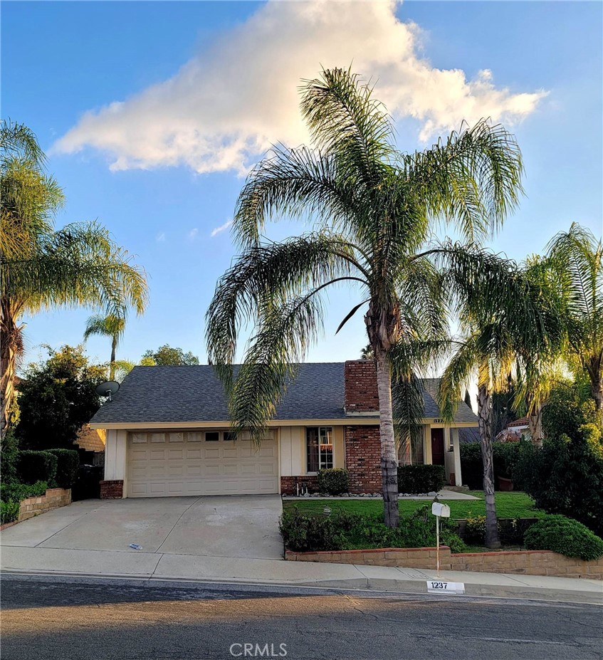 front view of house with a palm plants