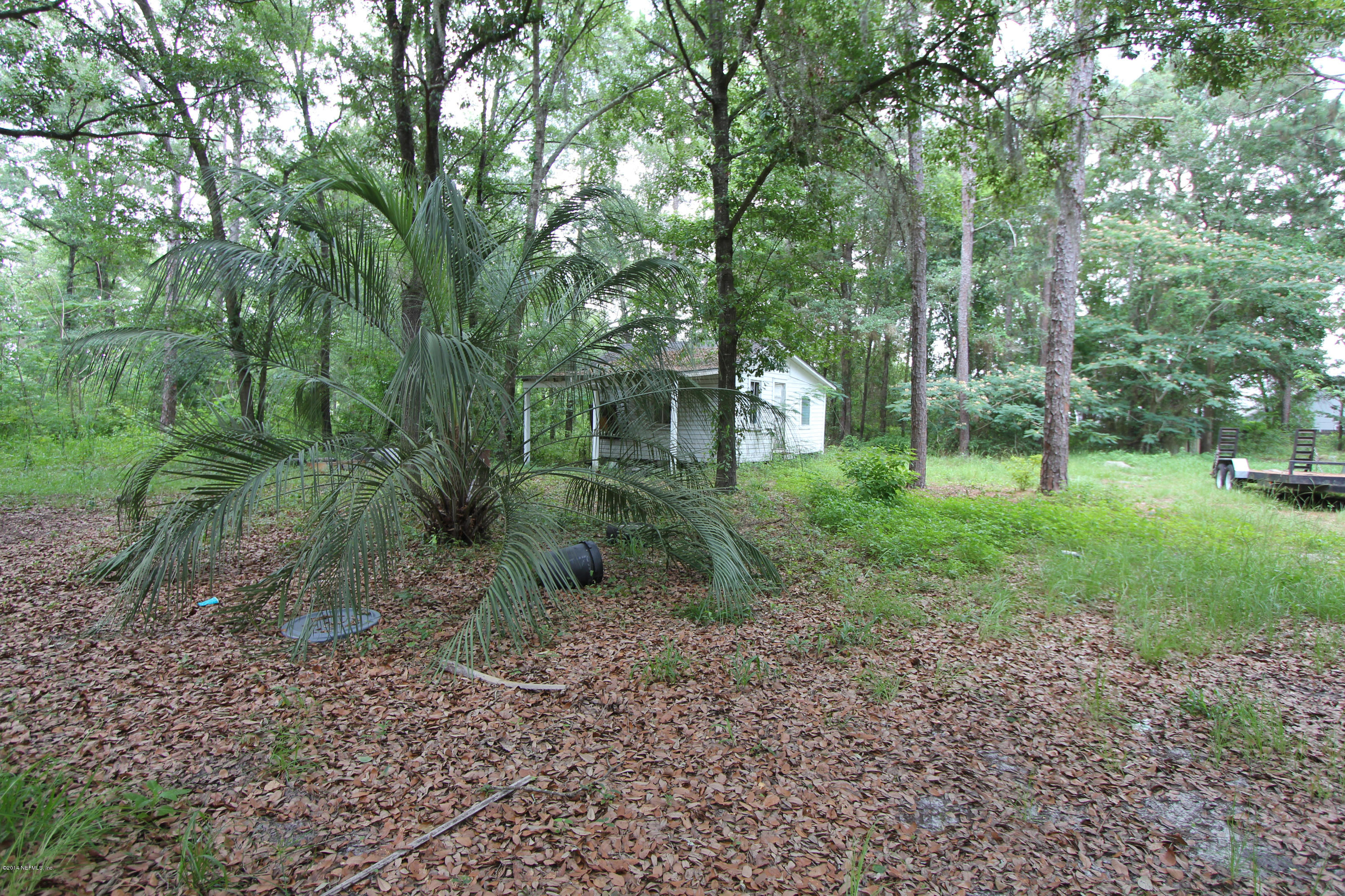 8101 Hilma Road Jacksonville, FL 32244 - Photo 35 of 50 IMG_8564