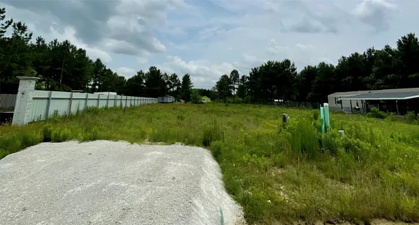 a view of a garden with a bench in the background