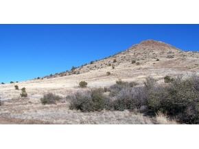 4050 Friendly Meadow Road Prescott, AZ 86305 - Photo 1 of 2 Primary Photo