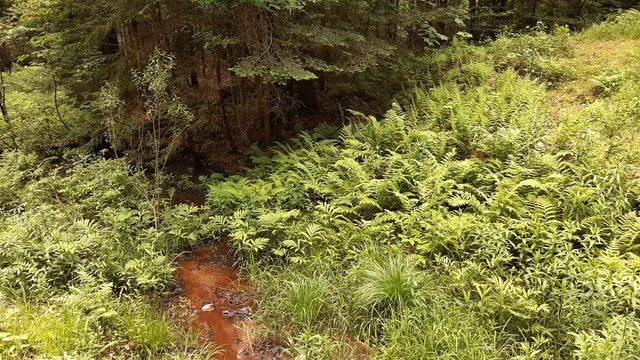 $164,500 | 0 Route 155 Weston Vt 05161, Weston, VT 05161