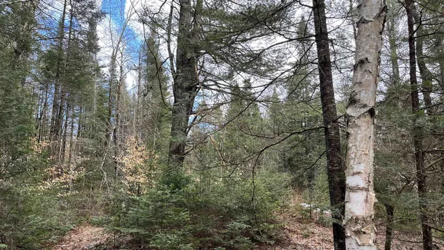 $164,500 | 0 Route 155 Weston Vt 05161, Weston, VT 05161