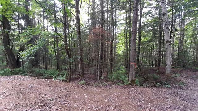 $164,500 | 0 Route 155 Weston Vt 05161, Weston, VT 05161