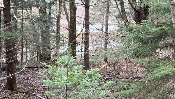 $164,500 | 0 Route 155 Weston Vt 05161, Weston, VT 05161