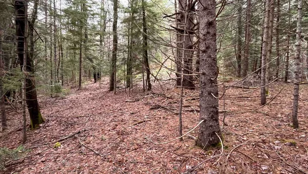 $164,500 | 0 Route 155 Weston Vt 05161, Weston, VT 05161