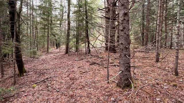 $164,500 | 0 Route 155 Weston Vt 05161, Weston, VT 05161