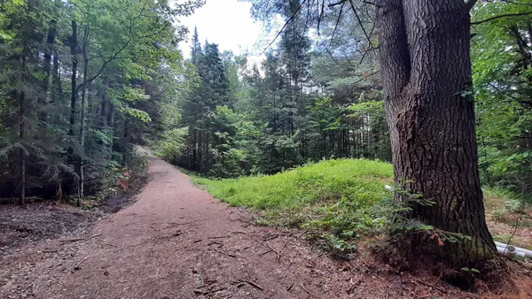 $164,500 | 0 Route 155 Weston Vt 05161, Weston, VT 05161
