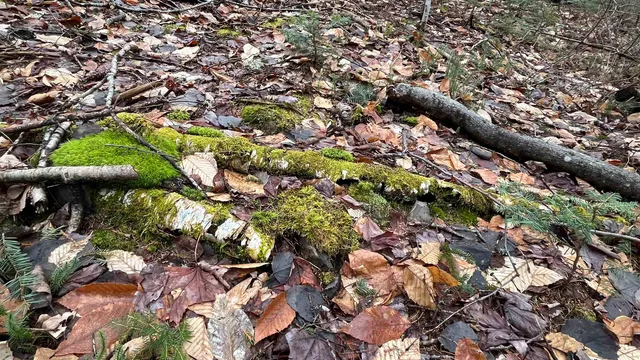 $164,500 | 0 Route 155 Weston Vt 05161, Weston, VT 05161