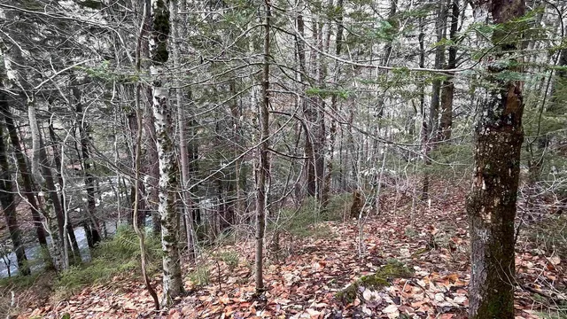 $164,500 | 0 Route 155 Weston Vt 05161, Weston, VT 05161